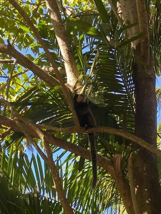 Recanto Da Aurora Caraiva